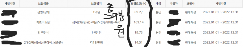 보험_가입_내역.png